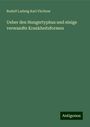 Rudolf Ludwig Karl Virchow: Ueber den Hungertyphus und einige verwandte Krankheitsformen, Buch