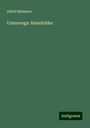 Alfred Meissner: Unterwegs: Reisebilder, Buch