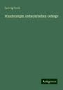 Ludwig Steub: Wanderungen im bayerischen Gebirge, Buch