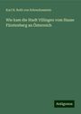 Karl H. Roth von Schreckenstein: Wie kam die Stadt Villingen vom Hause Fürstenberg an Österreich, Buch