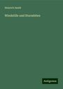 Heinrich Smidt: Windstille und Sturmböen, Buch