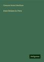 Clements Robert Markham: Zwei Reisen in Peru, Buch