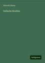 Albrecht Weber: Indische Streifen, Buch