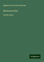 Miguel de Cervantes Saavedra: Musternovellen, Buch