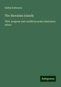 Rufus Anderson: The Hawaiian Islands, Buch