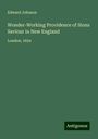 Edward Johnson: Wonder-Working Providence of Sions Saviour in New England, Buch