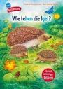 Friederun Reichenstetter: Sachwissen für Erstleser. Wie leben die Igel?, Buch