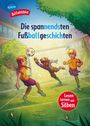 Christian Loeffelbein: Die spannendsten Fußballgeschichten, Buch