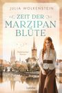 Julia Wolkenstein: Zeit der Marzipanblüte, Buch