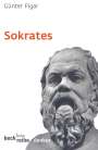 Günter Figal: Sokrates, Buch