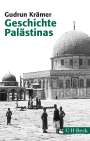 Gudrun Krämer: Geschichte Palästinas, Buch