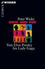 Peter Wicke: Rock und Pop, Buch