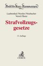 Klaus Laubenthal: Strafvollzugsgesetze, Buch