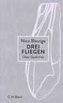 Nico Bleutge: Drei Fliegen, Buch