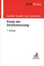 Gerhard Schäfer: Praxis der Strafzumessung, Buch