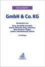 : GmbH & Co. KG, Buch