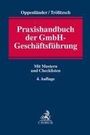 : Praxishandbuch der GmbH-Geschäftsführung, Buch