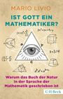 Mario Livio: Ist Gott ein Mathematiker?, Buch