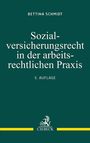 Bettina Schmidt: Sozialversicherungsrecht in der arbeitsrechtlichen Praxis, Buch