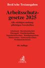 : Arbeitsschutzgesetze 2025, Buch