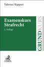 Brian Valerius: Examenskurs Strafrecht, Buch