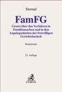 : FamFG, Buch