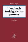 Klaus Niesel: Handbuch Sozialgerichtsprozess, Buch