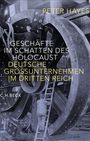 Peter Hayes: Geschäfte im Schatten des Holocaust, Buch