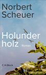 "Norbert Scheuer", "Holunderholz Roman". Blauer Himmel mit fliegenden Vögeln und blühendem Holunder im Vordergrund.