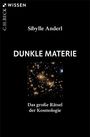 „Sibylle Anderl: DUNKLE MATERIE. Das große Rätsel der Kosmologie.“ Sternenhaufen im Weltraum.