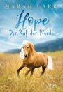 Sarah Lark: Hope, Buch