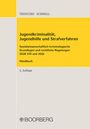 Thomas Trenczek: Jugendkriminalität, Jugendhilfe und Strafverfahren, Buch