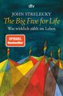 John Strelecky: The Big Five for Life, Buch