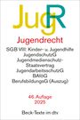 : Jugendrecht, Buch