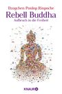 Dzogchen Ponlop Rinpoche: Rebell Buddha, Buch
