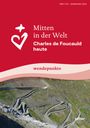 : Mitten in der Welt, Buch