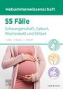 "Hebammenwissenschaft: 55 Fälle - Schwangerschaft, Geburt, Wochenbett und Stillzeit." Drei Icons und eine schwangere Person.