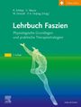 "Lehrbuch Faszien. Physiologische Grundlagen und praktische Therapiestrategien. Menschliche Figur in Mesh-Optik."