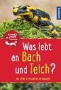 Anita van Saan: Was lebt an Bach und Teich? Kindernaturführer, Buch