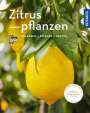 Dominik Große Holtforth: Zitruspflanzen (Mein Garten), Buch