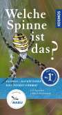 Martin Baehr: Welche Spinne ist das?, Buch