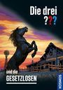 Kari Erlhoff: Die drei ??? und die Gesetzlosen, Buch