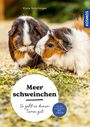 Viola Schillinger: Meerschweinchen, Buch