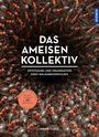 Armin Schieb: Das Ameisenkollektiv, Buch