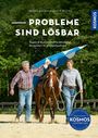Bernd Hackl: Probleme sind lösbar, Buch