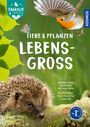 Daniela Strauß: Tiere und Pflanzen lebensgroß, Buch