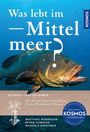 Titel: "Was lebt im Mittelmeer?" Ein großer Fisch schwimmt im blauen Wasser. Logos und Autoren am unteren Bildrand.