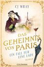 Cj Wray: Das Geheimnis von Paris, Buch