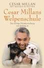 Cesar Millan: Cesar Millans Welpenschule, Buch