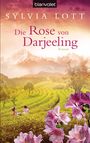 Sylvia Lott: Die Rose von Darjeeling, Buch